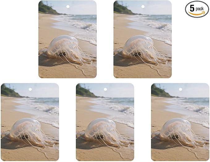 5PCS Car Air Freshener Hanging Personalized Double Sided Transparent Beach Car Fresheners Long Lasting New Cars Scents Cute Automotive Freshies for Closets Drawers (tea)