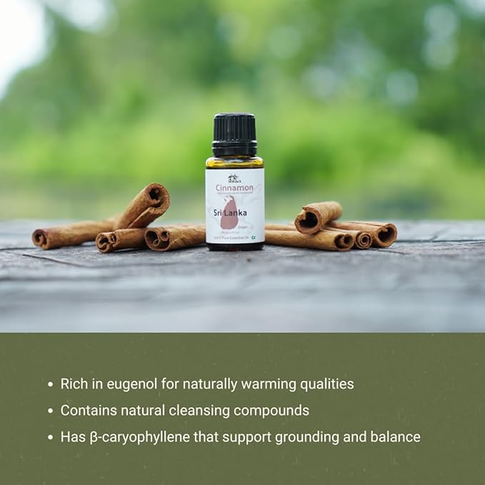 Cinnamon Essential Oil - Direct from Sri Lankan Essential Oils - 100% Pure - Natural Aceite de Canela for Aromatherapy &amp Wellness - Premium Grade (2lbs)