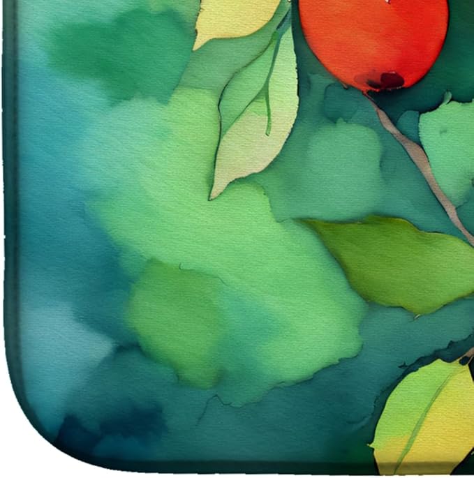 Caroline's Treasures DAC1677DDM Missouri Hawthorns in Watercolor Dish Drying Mat Absorbent Dish Drying Mat Pad for Kitchen Counter Dish Drainer Mat for Countertop 14 x 21 Multicolor