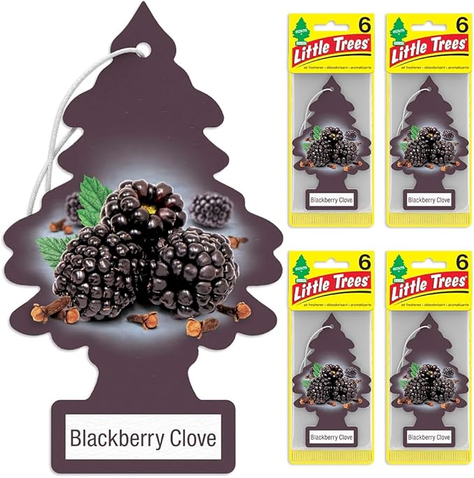 LITTLE TREES Car Air Freshener. Hanging Tree Provides Long Lasting Scent for Auto or Home. Blackberry Clove 24 Air Fresheners (Pack of 6)