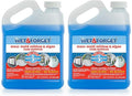 Wet &amp Forget Moss Mold Mildew &amp Algae Stain Remover Multi-Surface Outdoor Cleaner Concentrate Original 64 Fluid Ounces (2 Pack)