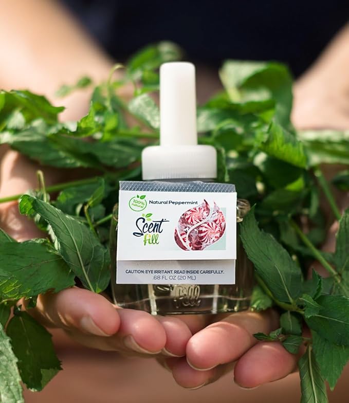 Scent Fill 100% Natural Fresh Peppermint Plug in Refills Air Freshener Scented Oil Refills 3 Refills