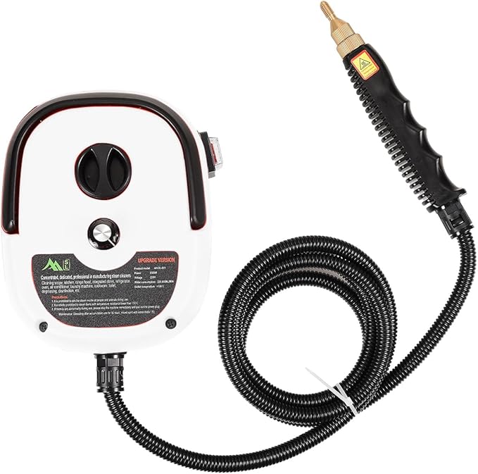 High Temperature Pressurized Steam Handheld High Pressure Steam Cleaning Machine Portable 110 V Tank for Air Conditioning Kitchen Range Hood