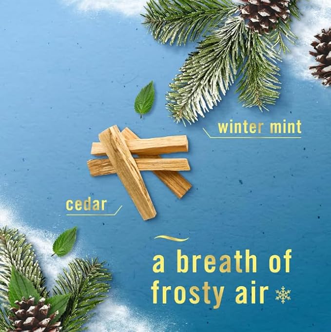F.e.b.r.e.z.e Plug In Air Freshener Odor-Fighting Scented Oil Mix 3 Refill (Premium Holiday Mix)
