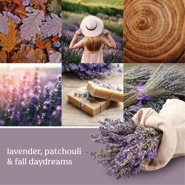 Yankee Candle ScentPlug Refill Dried Lavender &amp Oak (Pack of 4)