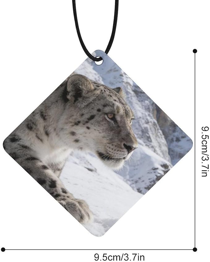 5PCS Car Air Freshener Hanging Personalized Double Sided Snow Mountains Car Fresheners Long Lasting New Cars Scents Cute Automotive Freshies for Closets Drawers (tea)