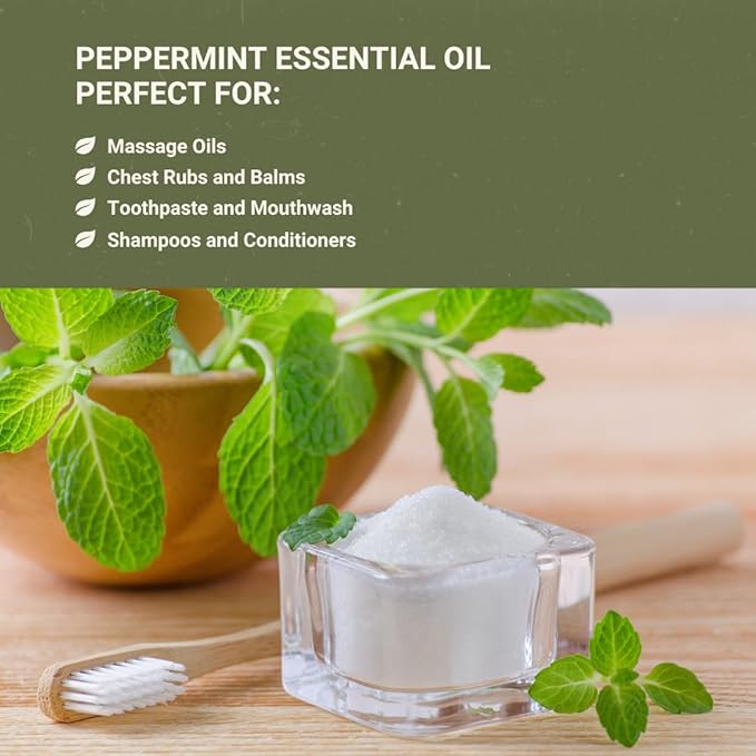 Peppermint Essential Oil - Direct from Norex Flavours India - Steam Distilled - Aceite Esencial de Menta for Aromatherapy Massage Diffuser DIY Candle and Soap Making - 2lbs
