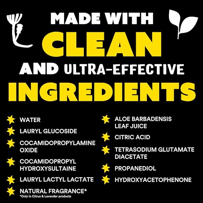 Molly's Suds Liquid Dish Soap | Clean Simple Ingredients | Extra Scrubbing Power | Lavender Scent 24 oz - 2 Pack