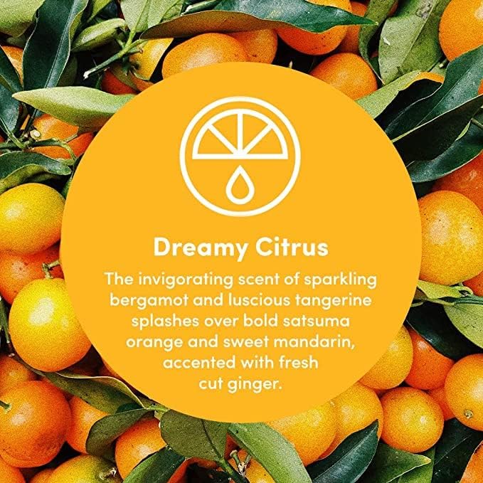 Clean Revolution Multi Surface Cleaner Refill Supply Non-Toxic Eco-Friendly &amp Plant-Based Ready to Use Dreamy Citrus 128 Fl Oz (Pack of 4)