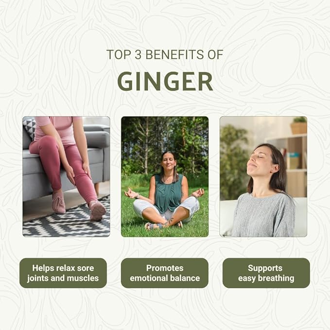 Ginger Essential Oil - Direct from Bio-Young Aromas - Pure Ginger Oil for Skin - Aceite de Jengibre - Aromatherapy 100% Therapeutic Premium Grade (2lbs)