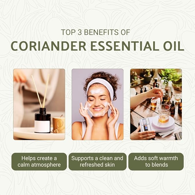 Coriander Essential Oil - Direct from Bulgarian Balkan Mountains - Steam Distilled - Aceite Cilantro for Aromatherapy Massage Diffuser DIY Candle and Soap Making - 2lbs