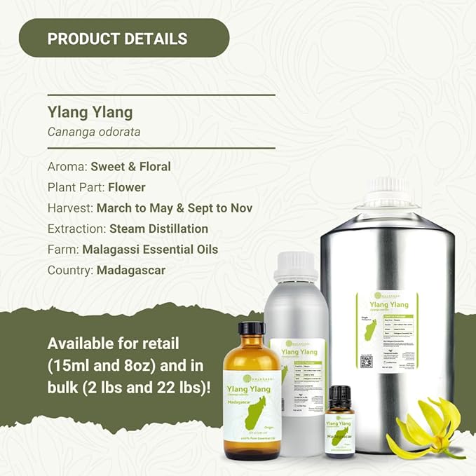Ylang Ylang Essential Oil - Direct from Malagassi Essential Oils Madagascar - Steam Distilled - Aceite de Ylang Ylang for Aromatherapy Diffuser DIY Candle and Soap Making - 2lbs