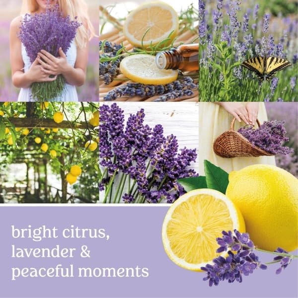 Yankee Candle Concentrated Air Freshener Room Spray Lemon Lavender Midsummer's Night Clean Cotton (1 Ea.) (Variety Pack)