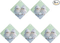 5PCS Car Air Freshener Hanging Personalized Double Sided Snowy Chicks Car Fresheners Long Lasting New Cars Scents Cute Automotive Freshies for Closets Drawers (tea)
