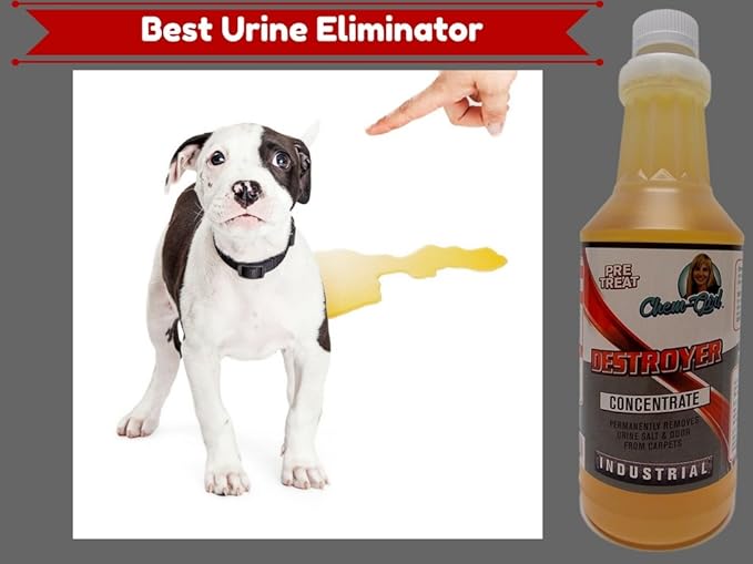 DESTROYER - Best Permanent Urine Stain and Odor Remover. No More Re-Marking. Dissolve and Neutralize the Urine Salts. Spot and Stain Gone for Good.