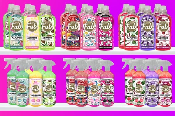 HOUSE OF FAB! Powerful All Purpose Cleaner Dirt &amp Grime Removing Multi Purpose Cleaner Used for Floors Walls and Any Hard Surface Used on Large Areas 33.8 FL Oz 6 Pack Fruity