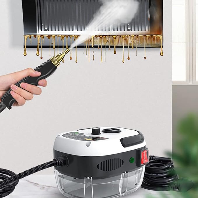 Portable Handheld Steam Cleaner 2500W 105C Steam 3BAR Pressure 1000ml Tank 6-Position Adjustment Floor Sink Car etc.