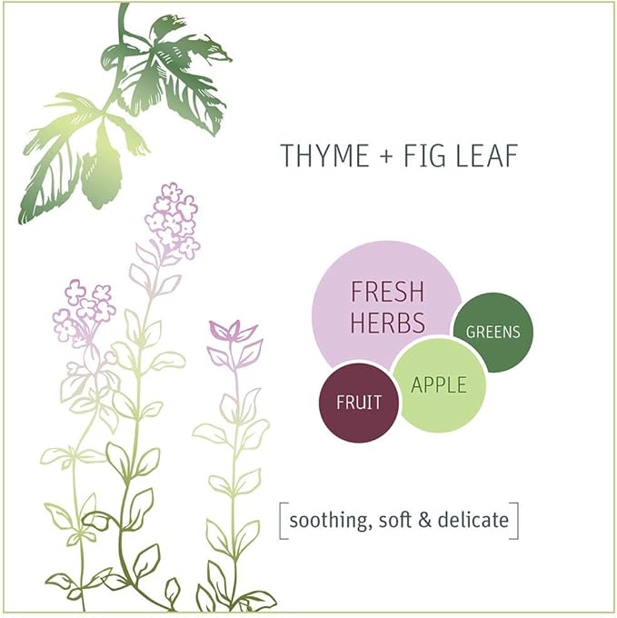 Grab Green Garbage Disposal Freshener and Cleaner Pods 48 Count Thyme Fig Leaf Scent Plant and Mineral Based Removes Odors Loosens Grime Prevents Clogging