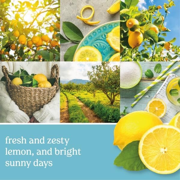Yankee Candle Sicilian Lemon Electric Home Fragrance Scent Plug Refill (Pack of 4)