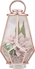 White Barn SUCCULENT TERRARIUM Wallflowers Fragrance Plug