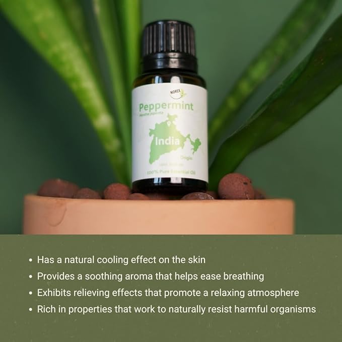Peppermint Essential Oil - Direct from Norex Flavours India - Steam Distilled - Aceite Esencial de Menta for Aromatherapy Massage Diffuser DIY Candle and Soap Making - 2lbs