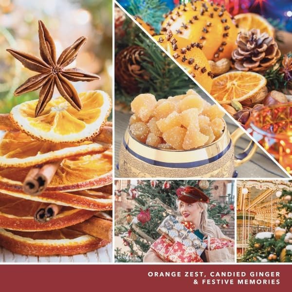 Yankee Candle ScentPlug Refill Holiday Zest 1 CT (Pack of 6)