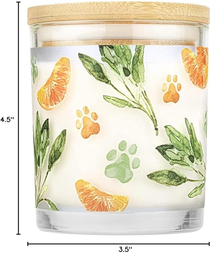 One Fur All Pet House Scented Candles Long Lasting Clean Burning Pet Friendly Candles Mandarin Sage 2 Pack