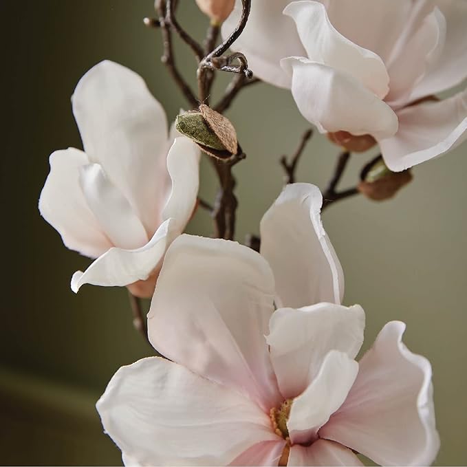 Thymes Home Fragrance Mist – Room Air Fresheners for Home Long Lasting – Air Freshener Spray – Premium Home Fragrance – Airy Notes of Willow Magnolia Mandarin &amp Jasmine (Magnolia Willow 3 oz)
