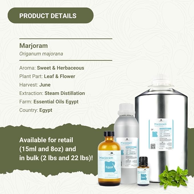 Marjoram Essential Oil - Aceite de Mejorana Direct from Egypt for Massage &amp Aromatherapy | Premium Therapeutic Grade (8oz)