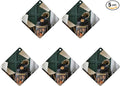5PCS Car Air Freshener Hanging Personalized Double Sided Vintage Phonograph Car Fresheners Long Lasting New Cars Scents Cute Automotive Freshies for Closets Drawers (tea)