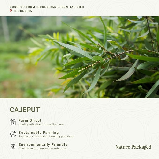Cajeput Essential Oil (2lbs) - Direct from Central Java Indonesia - Essential Oils for Diffusers Aromatherapy Essential Oils for Body Massage Oils | 100% Pure Therapeutic Grade