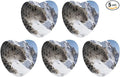 5PCS Car Air Freshener Hanging Personalized Double Sided Snow Mountains Car Fresheners Long Lasting New Cars Scents Cute Automotive Freshies for Closets Drawers (tea)