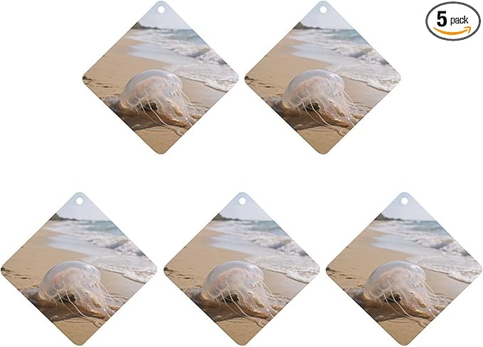 5PCS Car Air Freshener Hanging Personalized Double Sided Transparent Beach Car Fresheners Long Lasting New Cars Scents Cute Automotive Freshies for Closets Drawers (tea)