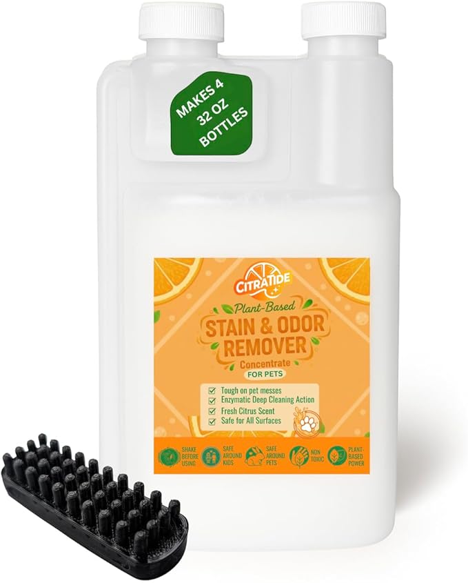 Stain &amp Odor Remover Concentrate (16 fl oz) – Citrus Powered Enzymatic Cleaner – Plant-Based Pet Safe Formula for Carpets Upholstery Hard Floors &amp More – USA Made Eco-Friendly Non-Toxic