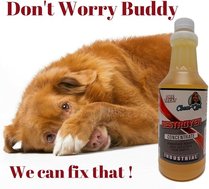 DESTROYER - Best Permanent Urine Stain and Odor Remover. No More Re-Marking. Dissolve and Neutralize the Urine Salts. Spot and Stain Gone for Good.