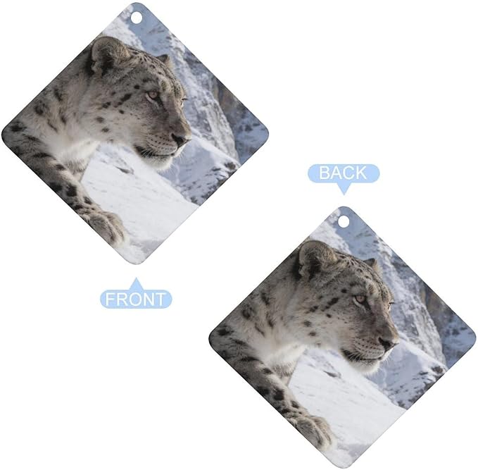 5PCS Car Air Freshener Hanging Personalized Double Sided Snow Mountains Car Fresheners Long Lasting New Cars Scents Cute Automotive Freshies for Closets Drawers (tea)