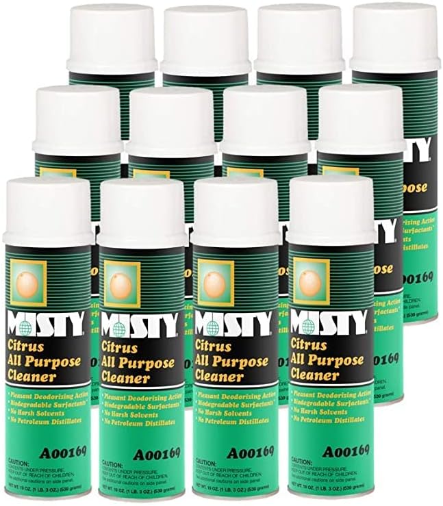 MISTY Citrus All-Purpose Cleaner - 19 oz (Case of 12) 1001583 - Biodegradable Aerosol For Indoor and Outdoor Use Fresh Citrus Scent