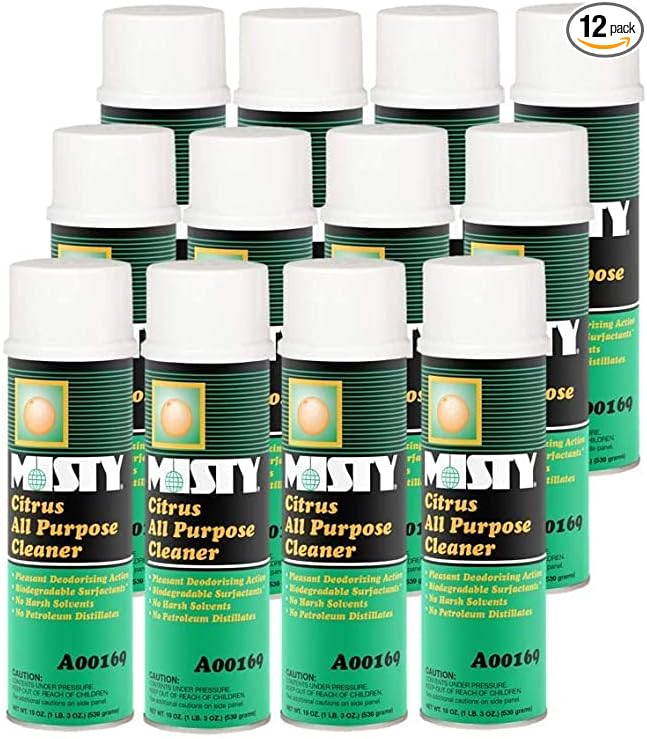 MISTY Citrus All-Purpose Cleaner - 19 oz (Case of 12) 1001583 - Biodegradable Aerosol For Indoor and Outdoor Use Fresh Citrus Scent