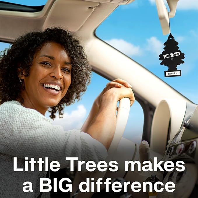 LITTLE TREES Car Air Freshener | Hanging Tree Provides Long Lasting Scent for Auto and Home | Royal Pine 24 Air Fresheners