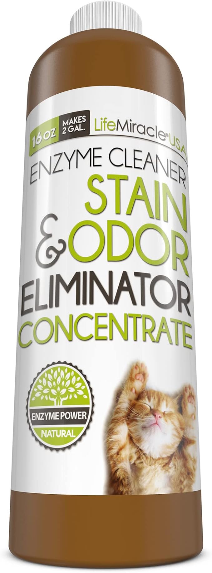 Life Miracle Enzyme Cleaner &amp Pet Odor Eliminator CONCENTRATE | Deep Cleaning Enzymatic Spot Remover for Dog Cat Urine Rug Carpet Upholstery Couch Car Stains &amp Smells | Makes 2 GALLONS