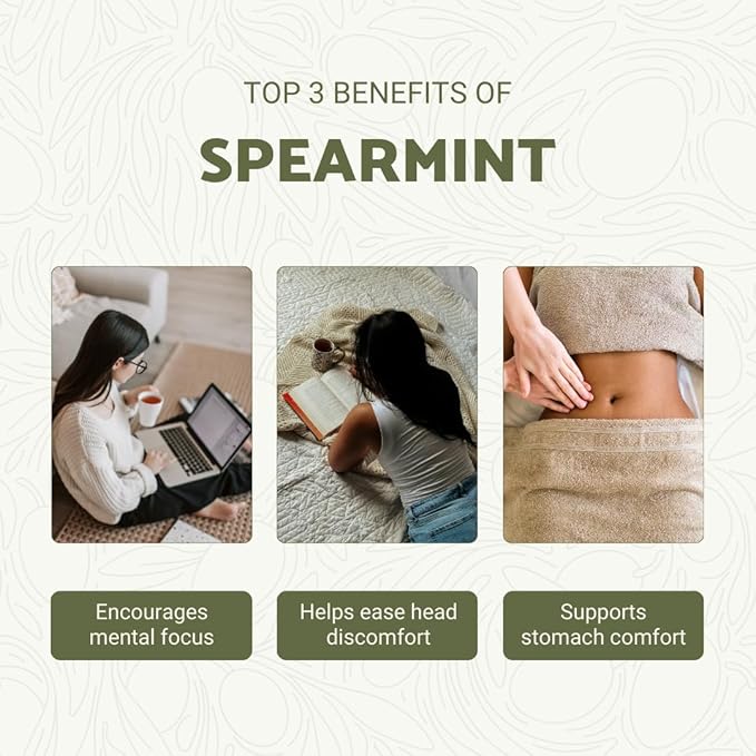 Spearmint Essential Oil - Direct from Essential Oils India - Steam Distilled - Aceite Esencial de Menta Verde for Aromatherapy Massage Diffuser DIY Candle and Soap Making - 8oz