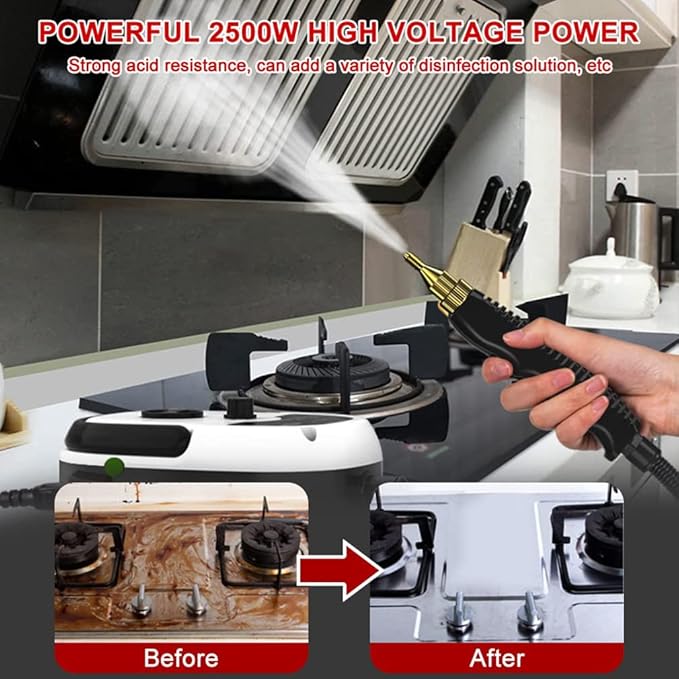 Portable Steam Cleaner 2500W High Temperature High Pressure Steam Cleaning Machine 6 Adjustable Speeds Handheld Steam Cleaner for Deep Cleaning Kitchen Floors Car Bathroom