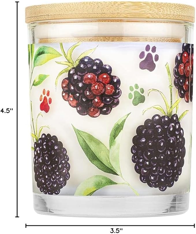 Pet House Candles Scented Pet Friendly Candles Clean Burning Plant-Based with a Natural Fiber Wick - BlackBerry Tea 9 oz 2 Pack
