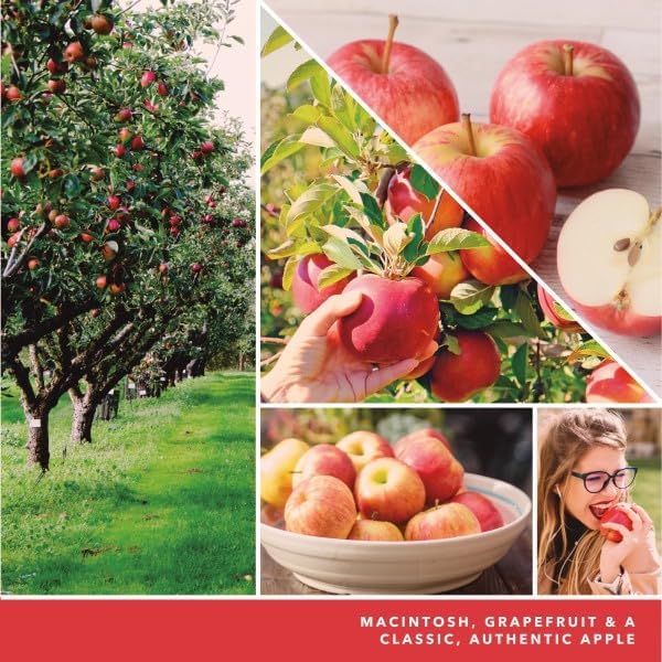 Yankee Candle ScentPlug Refill Macintosh (Pack of 6)