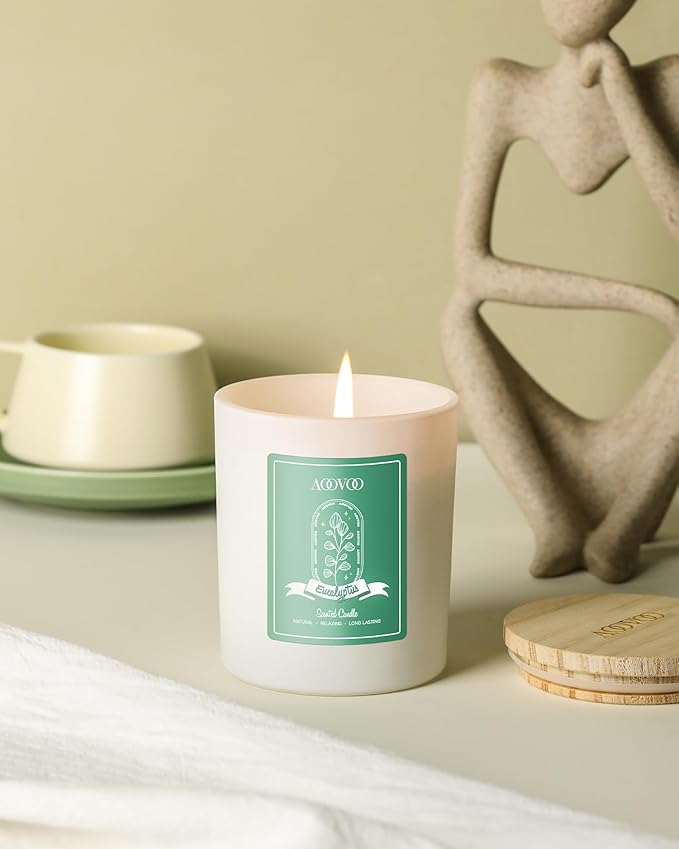 AOOVOO Eucalyptus Mint Scented Candles for Women - Aromatherapy Candle with Crystals Inside 10oz Soy Candles for Home Scented Birthday Gifts Valentines Day Candle for Women Mom