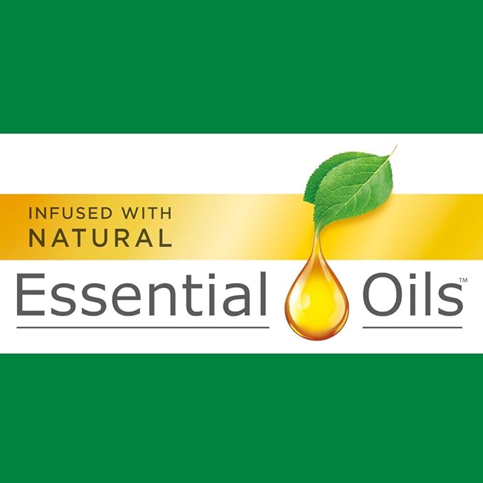 Air Wick Plug in Scented Oil Fresh Waters Scent 1 Refill 0.67 oz (Pack of 8) Essential Oils Air Freshener