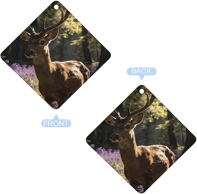 5PCS Car Air Freshener Hanging Personalized Double Sided Stag Flowers Car Fresheners Long Lasting New Cars Scents Cute Automotive Freshies for Closets Drawers (tea)