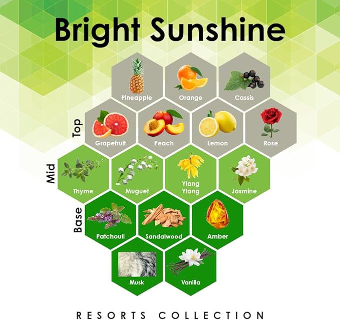 Bright Sunshine 16oz Linen Spray Air Freshener with Orange Jasmine Amber &amp More Notes for bedding pillows sheets room and car