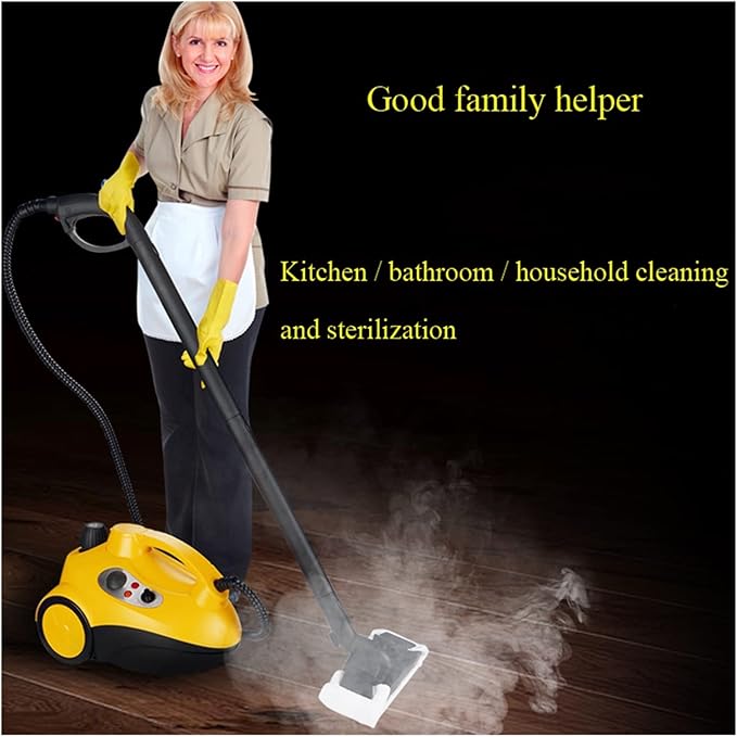Wet Dry Vacuum Cleaner Steam Cleaner Steam Mop Sanitizing Machine High Temperature High Pressure Home 2000W Range Hood Air Conditioning Car Washer Floor Cleaning