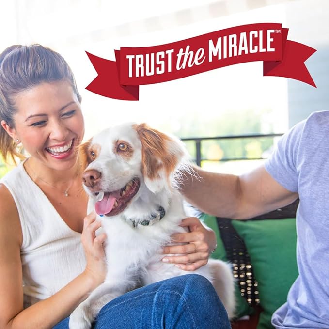 Nature’s Miracle Advanced Stain &amp Odor Eliminator Sunny Lemon Scent Severe Mess Enzymatic Formula For Tough Pet Messes 1 Gallon